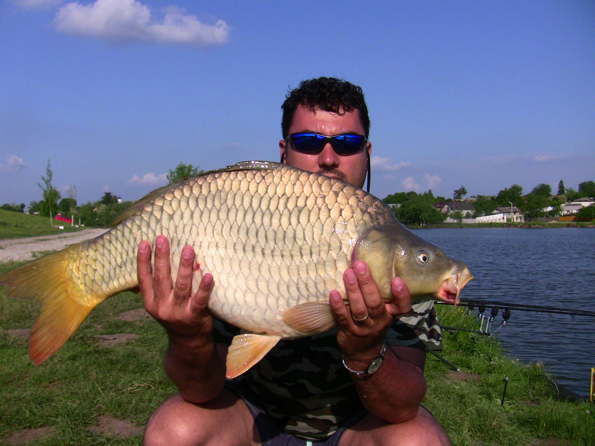 Moara Vlasiei 2012 - IMG_0144.JPG